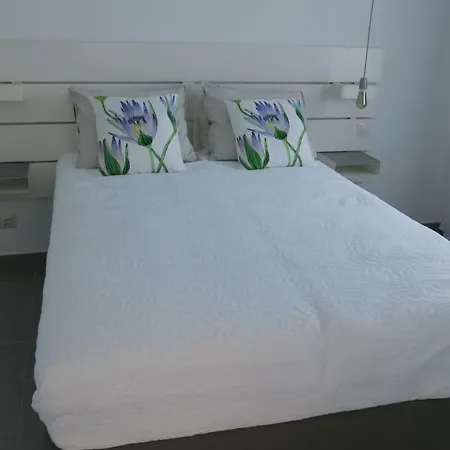 Luxury Apartment