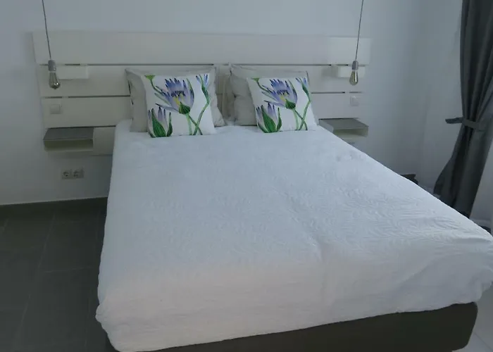 Luxury Apartment